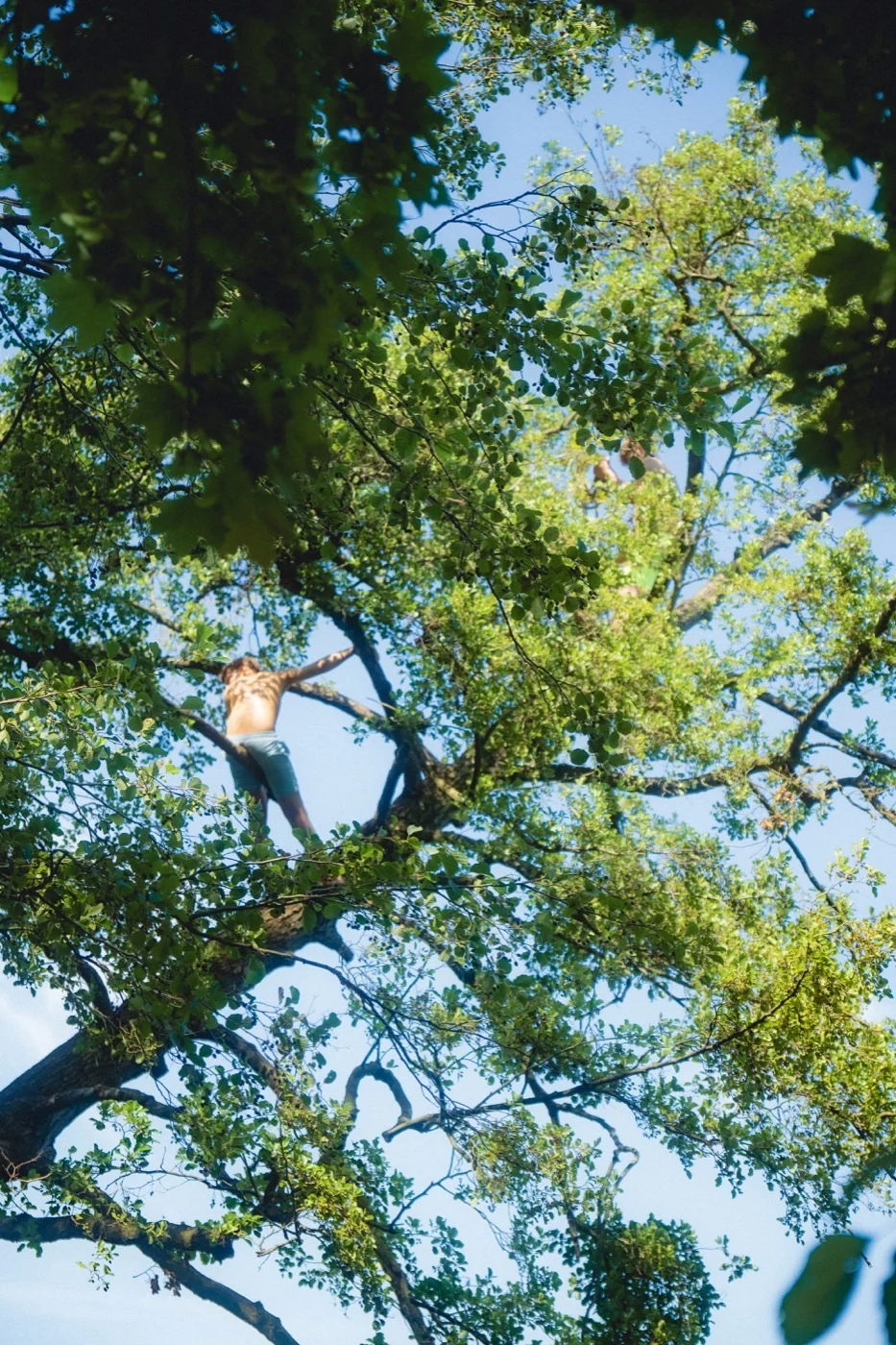 CHIGI 여정 — 나의 기록